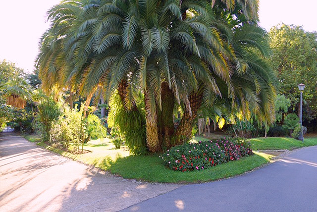 Apartment-Haus in Cannes - Park